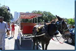 IMG_0981 IMG_0981
