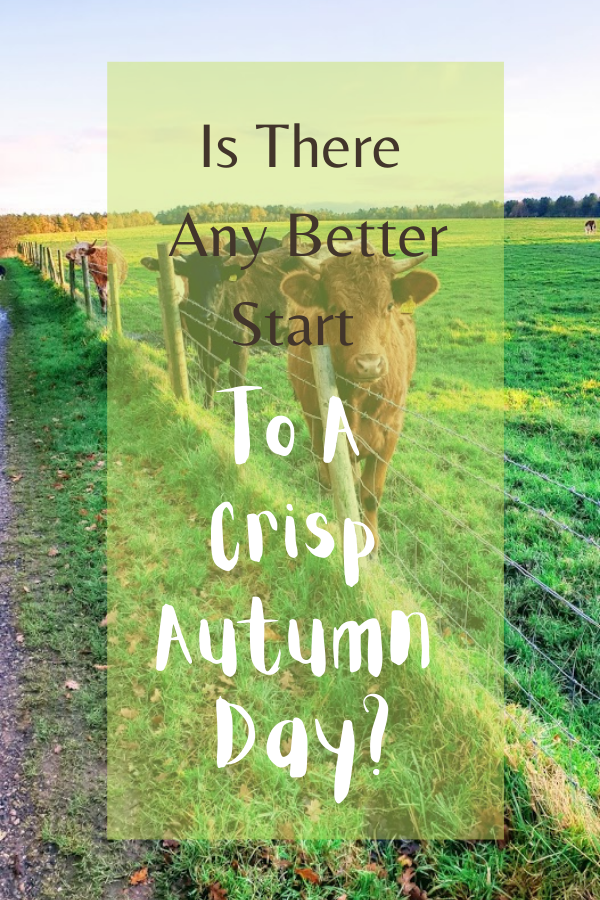 Is There Any Better Start To A Crisp Autumn Day, Than A Walk In The Countryside?
