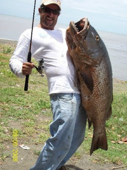 Big Cubera Snapper