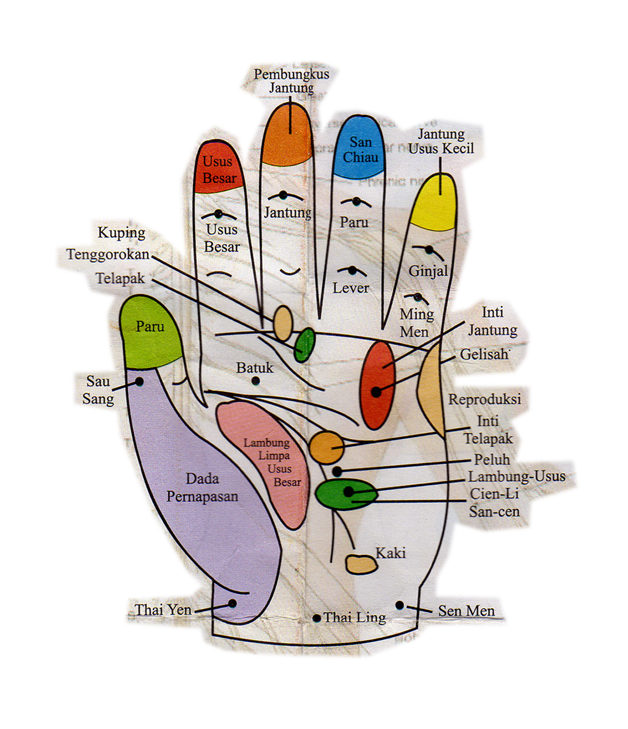Titik Refleksi pada Tangan  Ilmu Pengetahuan Tak Berbatas 