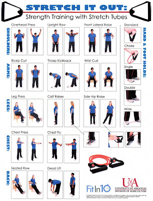 Get on the Ball: Strength Training with a Stability Ball (poster MP494, $3)