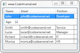 WPF DataGrid RowDetailsTemplate example