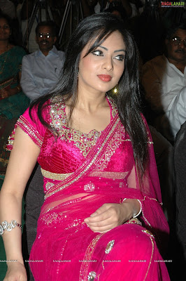 Komaram Puli hot Actress Nikeesha Patel looking attractive in Pink saree pictures 