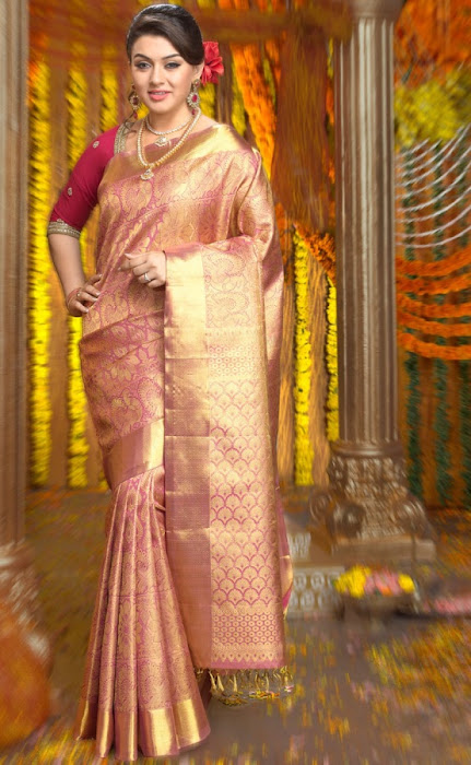 hansika chennai silks shoot saree hot images