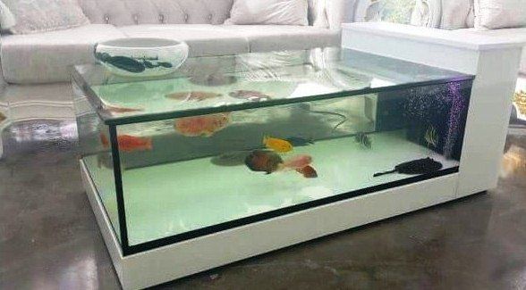  35 contoh model  dan harga meja tamu aquarium  unik dari  