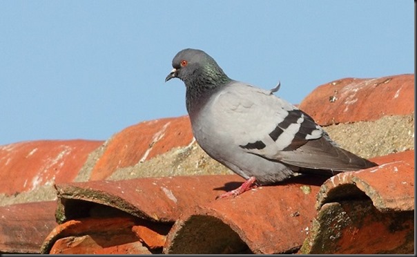 07. IMG_1063xx