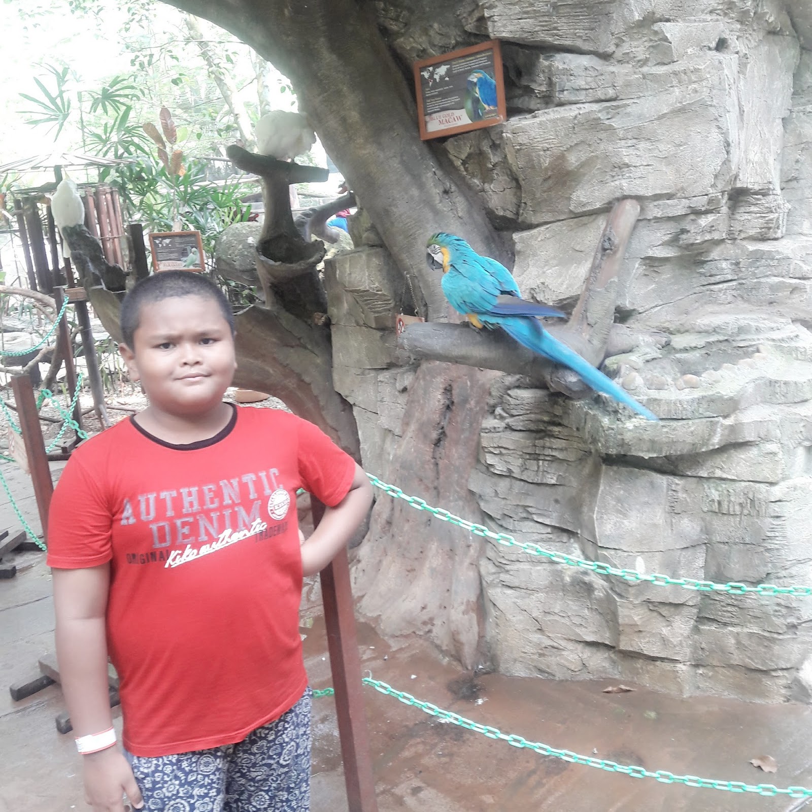 Lost World Of Tambun : Petting Zoo  Ini Cerita PUAN KUTU