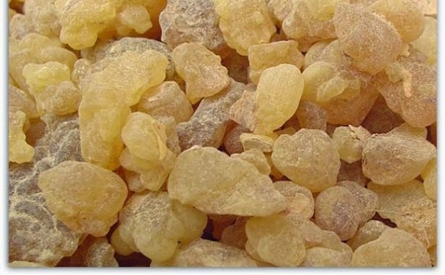 Do you know what bitter frankincense is and what are its amazing medical benefits ????