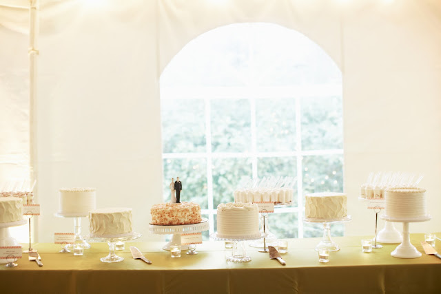 Minneapolis Cake Buffet for Wedding Celebration