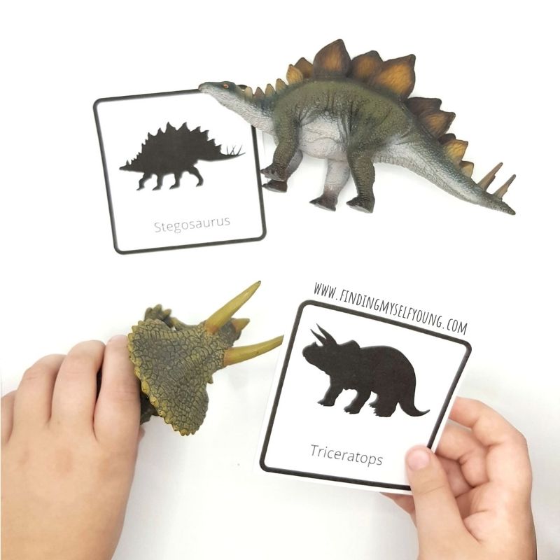 matching dinosaur figurines with shadow cards