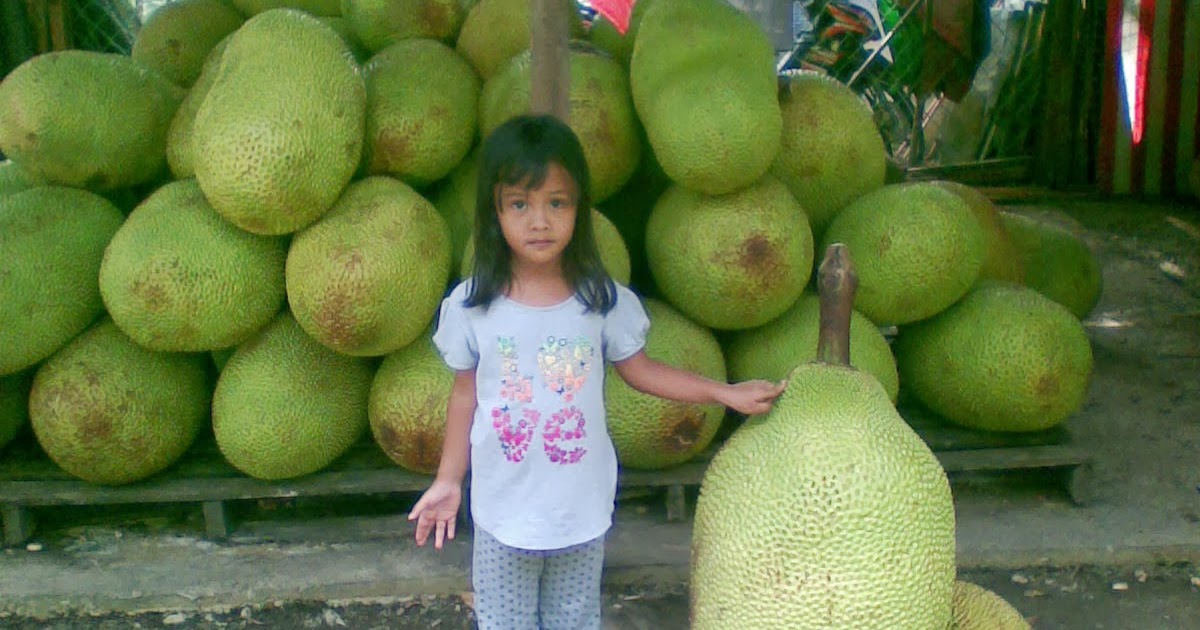 Kerja Kosong Area Shah Alam Part Time - Soalan 44