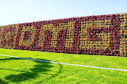 The Miracle Garden Dubai (dubai miricle garden )