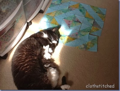 aquacat