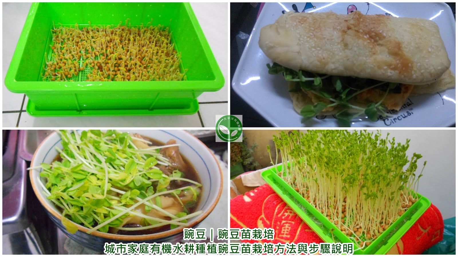 米豆副食品 米豆泥 提供給四個月以上嬰幼兒食用的一種副食品料理 芽菜自己在家簡單種 有機無毒自己來把關 痞客邦 米豆副食品 米豆泥 提供給四個月以上嬰幼兒食用的一種副食品料理 芽菜自己在家簡單種 有機無毒自己來把關 痞客邦