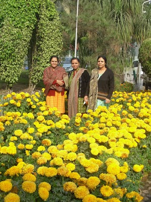 cheetal, haridwar,  nh-58, Delhi,  mussourie, dehradun,rishikesh,monal, parrots, Birds, lunch,dinner,breakfast, food,My mom with my two aunts surrounded with giant marigolds.,If you are traveling from Delhi to Haridwar, Dehradun, Mussourie, or anywhere else in Uttarakhand, one of the best place to stop for a meal is the restaurant Cheetal Grand at midpoint on the route. The food is of acceptable quality and restrooms are clean and hygenic. The landscaping is wonderful. You can find some rare birds and flowers.