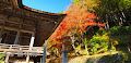 [京都] 勝林院で仏像を前に静かな時間を過ごす幸せ