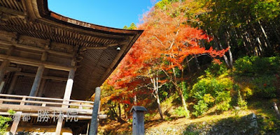 [京都] 勝林院」で仏像を前に静かな時間を過ごす幸せ
