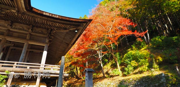 [写真] 京都「勝林院」で仏像を前に静かな時間を過ごす幸せ