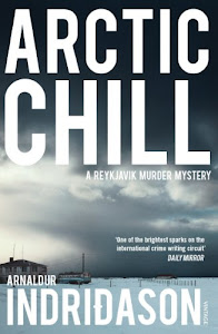 Arctic Chill (Reykjavik Murder Mysteries Book 5) (English Edition)