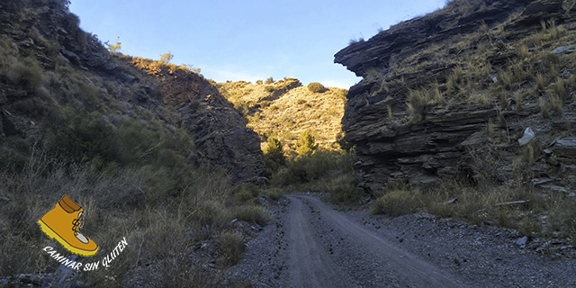 Pista entre paredes y vegetación hacia El Moro