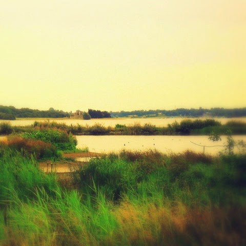 rutland water