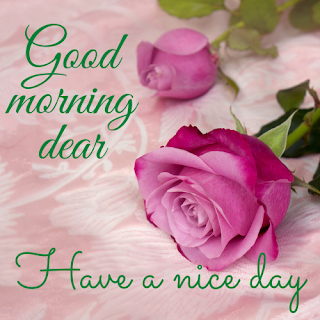 GOOD MORNING IMAGE WITH PINK ROSE