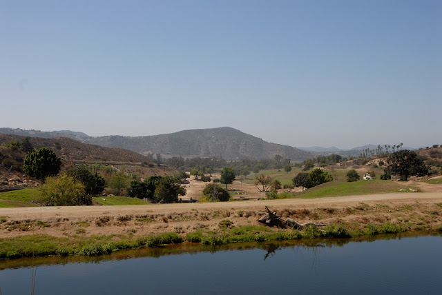 waterhole and trail towards outskirts of park: LadyD Books