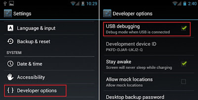 setting mode USB Debugging pada kolom {}Developer Options