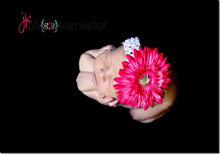 IMG_8435fullweb
