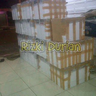 packing_daging_durian_medan