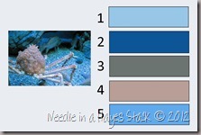 Crab Card Sample Final