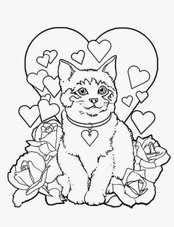 Navishta Sketch sweet cute  angle cats 