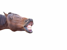 Red Horse Smiling Wallpaper