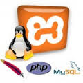 Cara Install XAMPP di Ubuntu 12.10