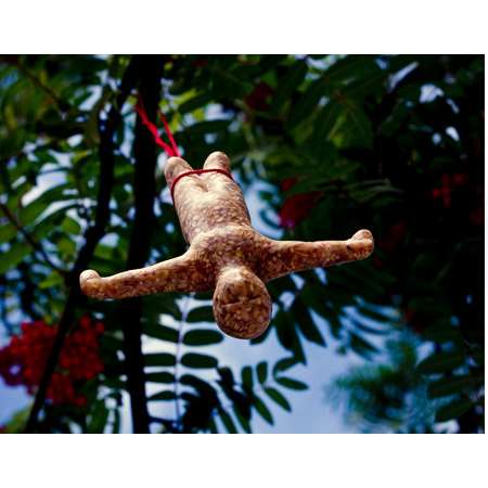 Hilarious Bird Feeder
