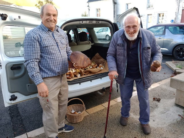 Dark Ceps foraged in Indre et Loire, France. Photo by Loire Valley Time Travel.