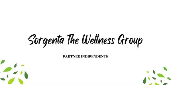 Sorgenta The Wellness Group. Come Funziona?