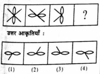 Visual memory question no 6