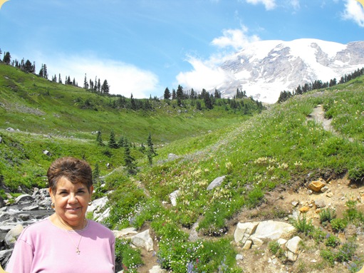 Mt. Rainier 178