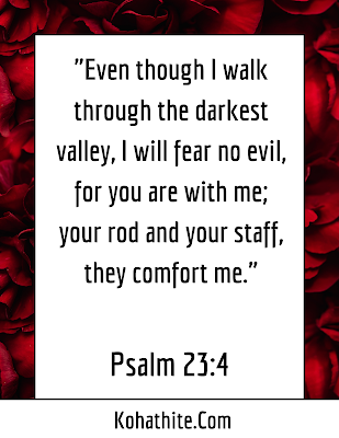 Even Though I Walk Through The Darkest Valley, I Will Fear No Evil - Psalm 23:4