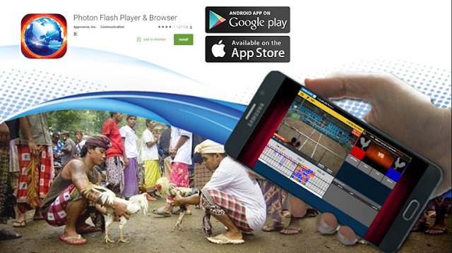 Birpoker Permainan Sabung Ayam Terpercaya