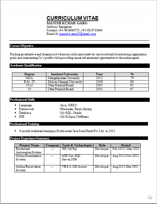 Resume format for freshers bba report writing project format writing a ...