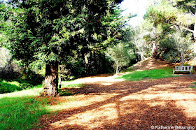 Mission Trail Park Carmel-by-the-Sea Weekend Getaway