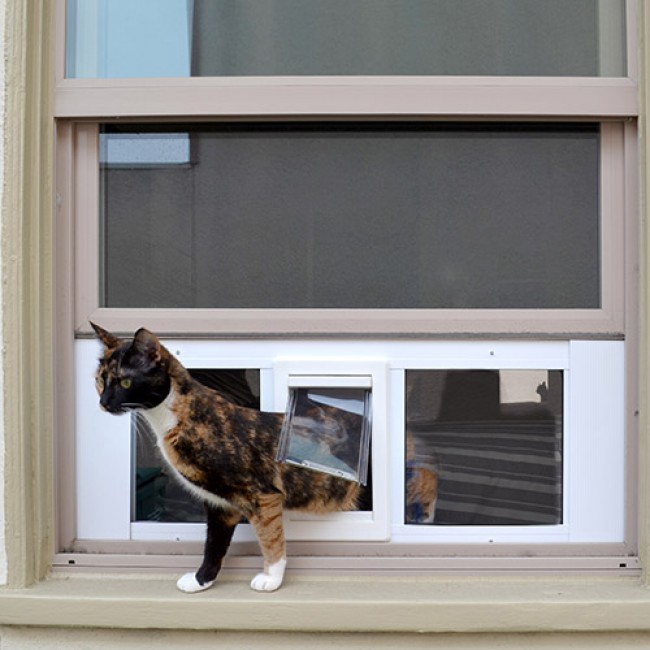 Best Window  Mounted Cat  Door  Ideas Spiffy Pet Products