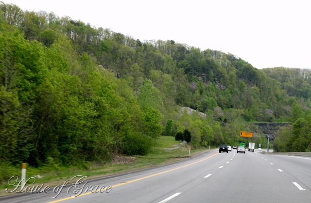 2011 04 21_3979