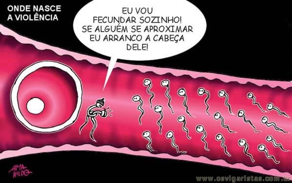 A história