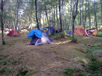 People camped in the woods, away from the creek.