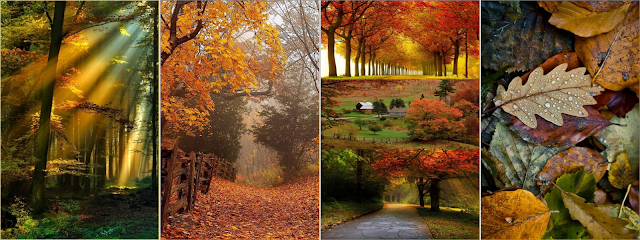 These 100+ Beautiful Autumn Photos Will Inspire You To Grab Your Camera