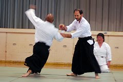 Political Aikido