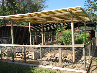 vegetable garden in Puriscal